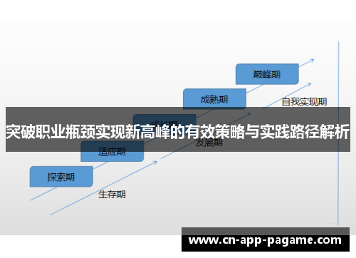 突破职业瓶颈实现新高峰的有效策略与实践路径解析
