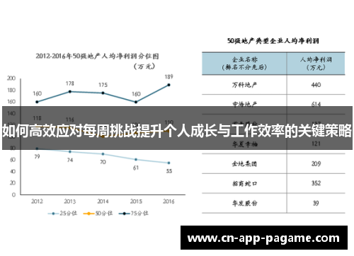 如何高效应对每周挑战提升个人成长与工作效率的关键策略