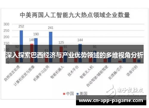 深入探索巴西经济与产业优势领域的多维视角分析