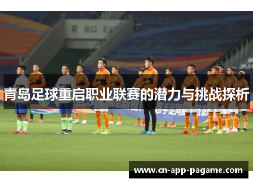 青岛足球重启职业联赛的潜力与挑战探析