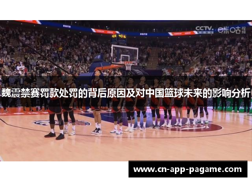 魏震禁赛罚款处罚的背后原因及对中国篮球未来的影响分析
