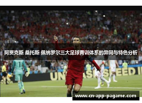 阿贾克斯 桑托斯 佩纳罗尔三大足球青训体系的异同与特色分析 阿贾克斯 桑托斯 佩纳罗尔三大足球青训体系的异同与特色分析