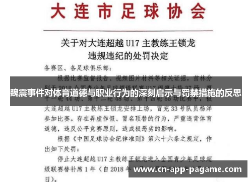 魏震事件对体育道德与职业行为的深刻启示与罚禁措施的反思