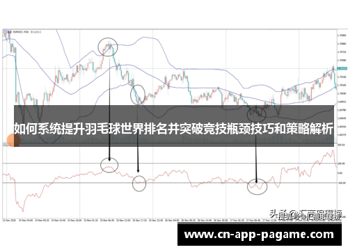 如何系统提升羽毛球世界排名并突破竞技瓶颈技巧和策略解析