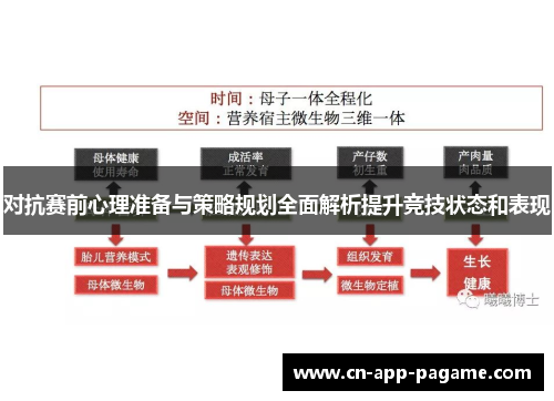 对抗赛前心理准备与策略规划全面解析提升竞技状态和表现 对抗赛前心理准备与策略规划全面解析提升竞技状态和表现