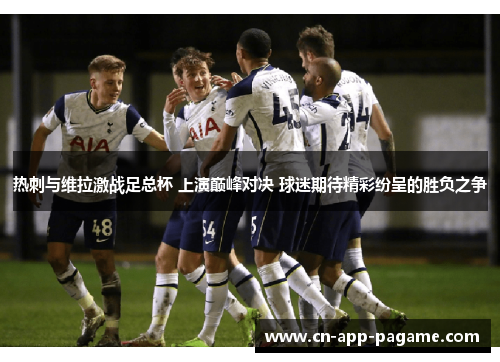 热刺与维拉激战足总杯 上演巅峰对决 球迷期待精彩纷呈的胜负之争