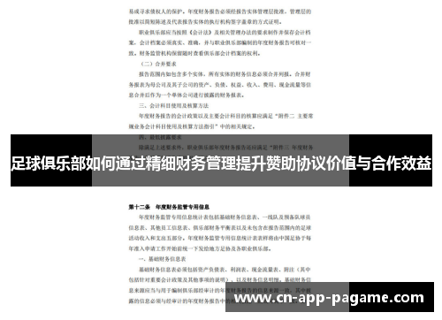足球俱乐部如何通过精细财务管理提升赞助协议价值与合作效益