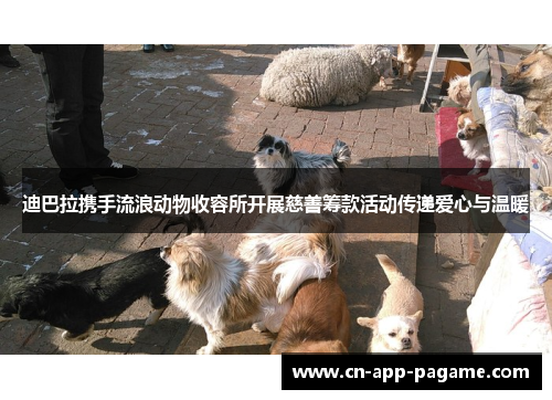 迪巴拉携手流浪动物收容所开展慈善筹款活动传递爱心与温暖