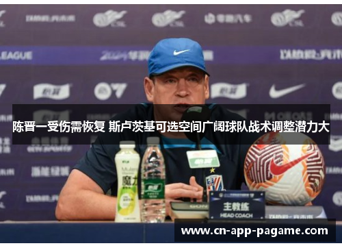 陈晋一受伤需恢复 斯卢茨基可选空间广阔球队战术调整潜力大