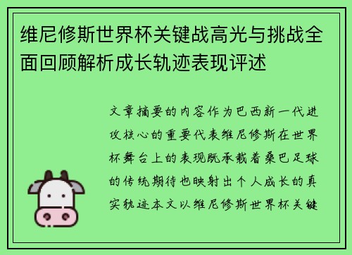 维尼修斯世界杯关键战高光与挑战全面回顾解析成长轨迹表现评述