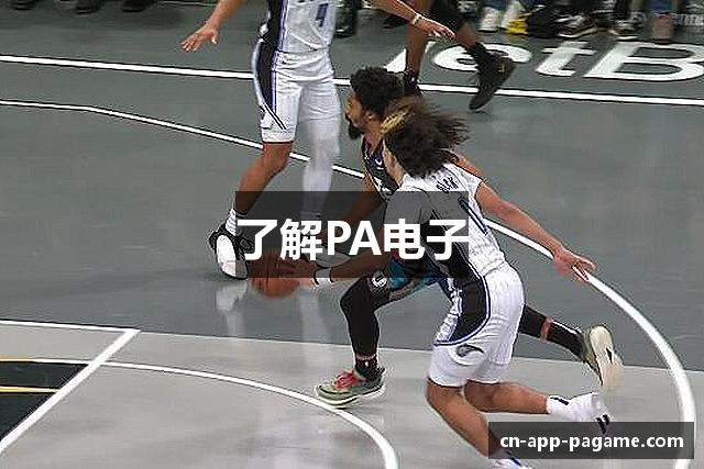 了解PA电子